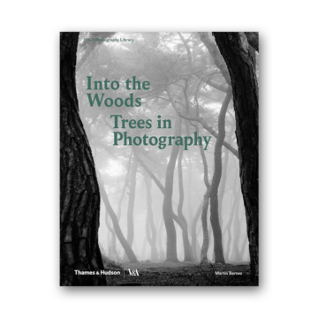 Into the Woods: Trees and Photography cover