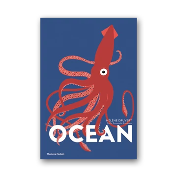 Ocean cover