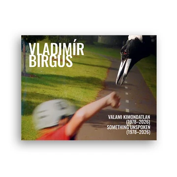 Vladimír Birgus. Valami kimondatlan borító