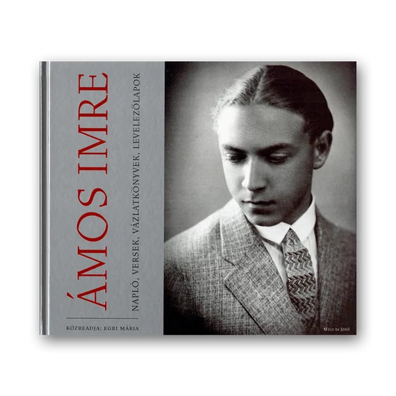 Ámos Imre: Napló, versek, vázlatkönyvek, levelezőlapok borító