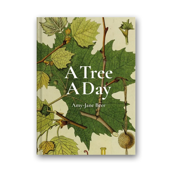A Tree A Day
