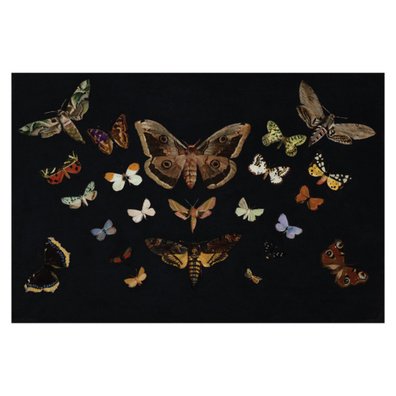 Csontváry Kosztka Tivadar, Pillangók képeslap