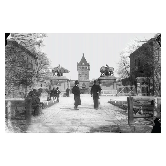 Közvágóhíd, 1903 képeslap
