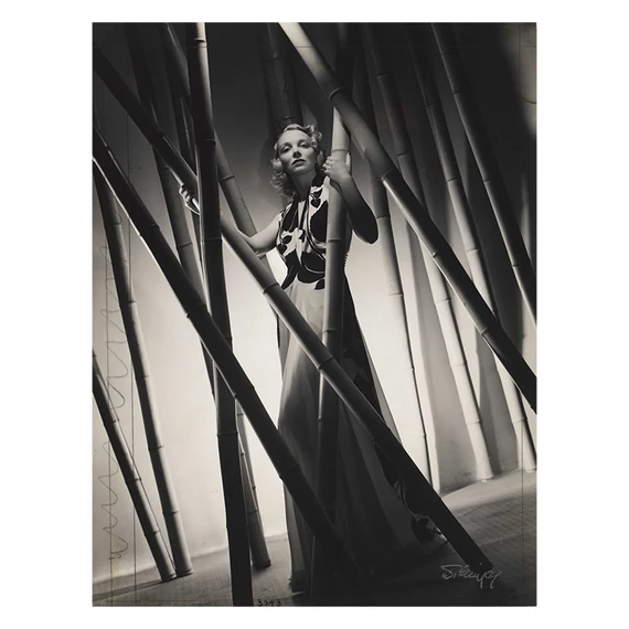 WILLINGER László: Virginia Bruce képeslap