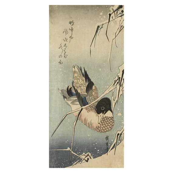 Utagawa Hiroshige, Úszó vadkacsa hóesésben képeslap