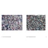 Kép 6/7 - Jean Dubuffet. Metamorphoses of Landscape