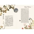 Kép 2/8 - Elegance in Japanese Art: Edo Rinpa bird and flower painting