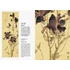 Kép 5/8 - Elegance in Japanese Art: Edo Rinpa bird and flower painting