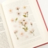 Kép 4/5 - Appree préselt virág hatású matrica - cseresznyefa virág