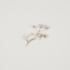 Kép 3/4 - Appree préselt virág hatású matrica - csipkevirág