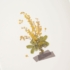 Kép 2/5 - Appree préselt virág hatású matrica - mimóza