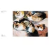 Kép 7/7 - Art Cat: Fine Felines of the Art World 6