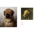 Kép 7/7 - Art Dog: Clever Canines of the Art World 6