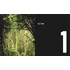 Kép 4/7 - Art and Ecology Now 3