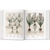Kép 2/7 - Basilius Besler. Florilegium. The Book of Plants 1
