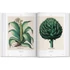 Kép 7/7 - Basilius Besler. Florilegium. The Book of Plants 6