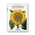 Kép 1/7 - Basilius Besler: Florilegium. The Book of Plants - The Complete Plates