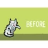 Kép 4/7 - Before and After 3