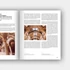 Kép 13/13 - Casting a new light. Plaster Casts &amp; Cast Collections 16