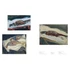 Kép 6/6 - Chaïm Soutine: Against the Current 5