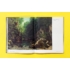 Kép 5/8 - Courbet's Landscapes: The Origins of Modern Painting