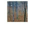 Kép 4/7 - Gustav Klimt: 50 Masterpieces explored art cards 3