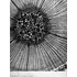 Kép 3/6 - Gyorgy Kepes: Undreaming The Bauhaus 2-14