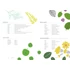 Kép 7/7 - Herbarium 6
