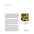 Kép 4/12 - Indian Tiles: Architectural Ceramics from Sultanate and Mughal India and Pakistan