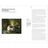 Kép 5/8 - Key Moments In Art (Art Essentials)