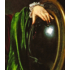 Kép 4/5 - Caravaggio: The Complete Works
