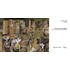 Kép 2/8 - Places of the Mind:British watercolour landscapes 1850–1950 1