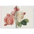 Kép 3/7 - Redouté. Roses 2