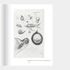 Kép 3/13 - Judit Reigl: Dance of Death exhibition catalogue-2