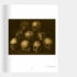 Kép 7/13 - Judit Reigl: Dance of Death exhibition catalogue-6