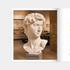 Kép 8/19 - Rebirth of a Collection. The Plaster Casts of the Museum of Fine Arts, Budapest in the Renewed Star Fortress in Komárom