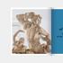 Kép 15/19 - Rebirth of a Collection. The Plaster Casts of the Museum of Fine Arts, Budapest in the Renewed Star Fortress in Komárom