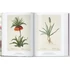 Kép 2/5 - The Book of Flowers 1