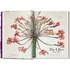 Kép 3/5 - The Book of Flowers 2