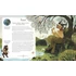 Kép 7/9 - The Book of Mythical Beasts and Magical Creatures 6