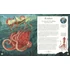 Kép 8/9 - The Book of Mythical Beasts and Magical Creatures 7