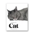 Kép 1/5 - The Book of the Cat: Cats in Art cover