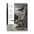 Kép 1/7 - The Fantastic Gustave Dore cover