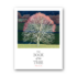 Kép 1/4 - The Book of the Tree: Trees in Art cover