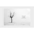 Kép 4/4 - The Book of the Tree: Trees in Art dead tree
