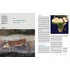 Kép 6/9 - The History of Art: A Global View: Prehistory to the Present