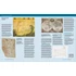 Kép 8/9 - The History of Art: A Global View: Prehistory to the Present