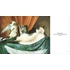 Kép 6/7 - More Cats Galore: A Second Compendium of Cultured Cats
